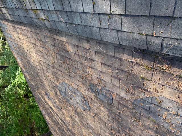 Moss Covered Roof Cleaning in Raleigh, NC
