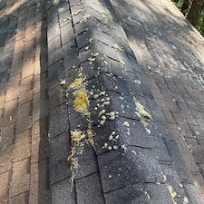 moss-covered-roof-cleaning-in-Raleigh-Nc 2