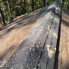 moss-covered-roof-cleaning-in-Raleigh-Nc 4