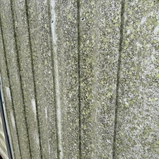 Mossy Steel Shed Cleaned in Cary, NC 1