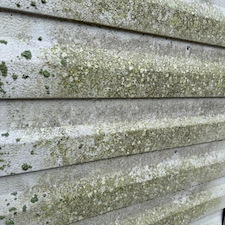 Mossy Steel Shed Cleaned in Cary, NC 2