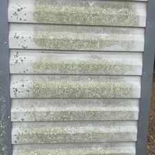 Mossy Steel Shed Cleaned in Cary, NC 3