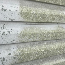 Mossy Steel Shed Cleaned in Cary, NC 4